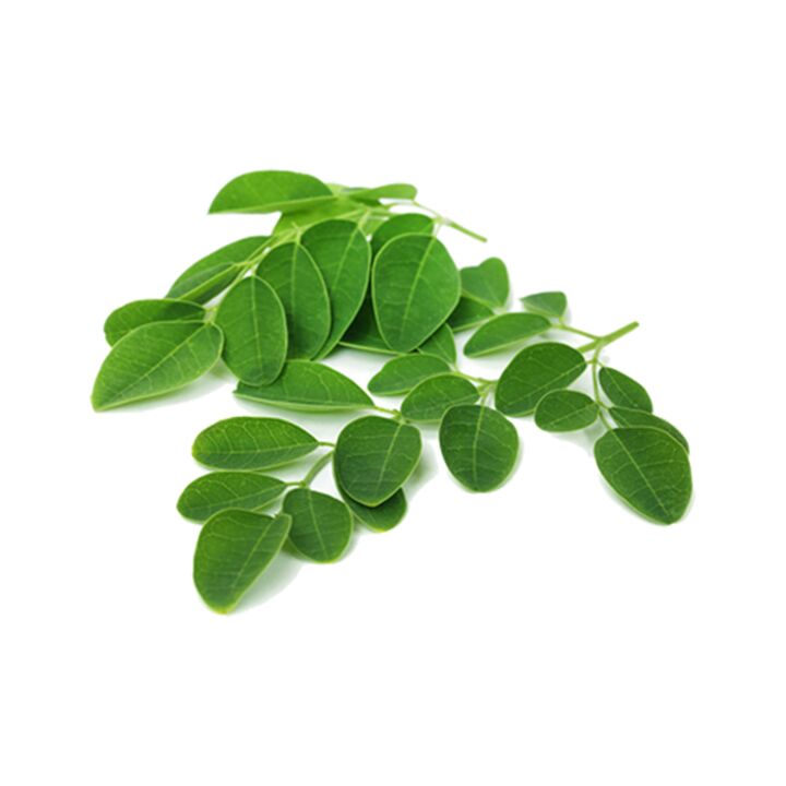 Normadex contiene hoja de moringa, un potente remedio natural contra los parásitos. 