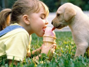 El contagio a través de las mascotas