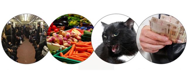 métodos de infección por parásitos