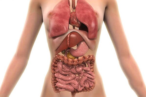 parásitos en el cuerpo humano