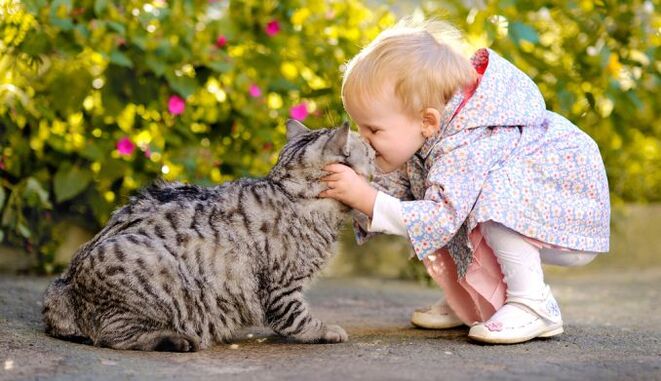 Un niño besa a un gato y se infecta de gusanos.